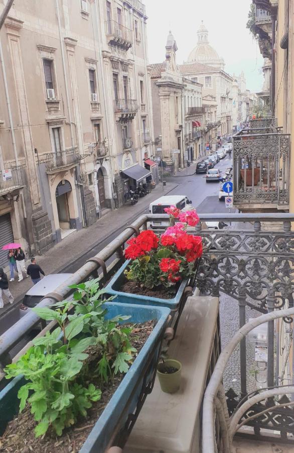 Bed And Books Isabella Bed & Breakfast Catania Exterior photo